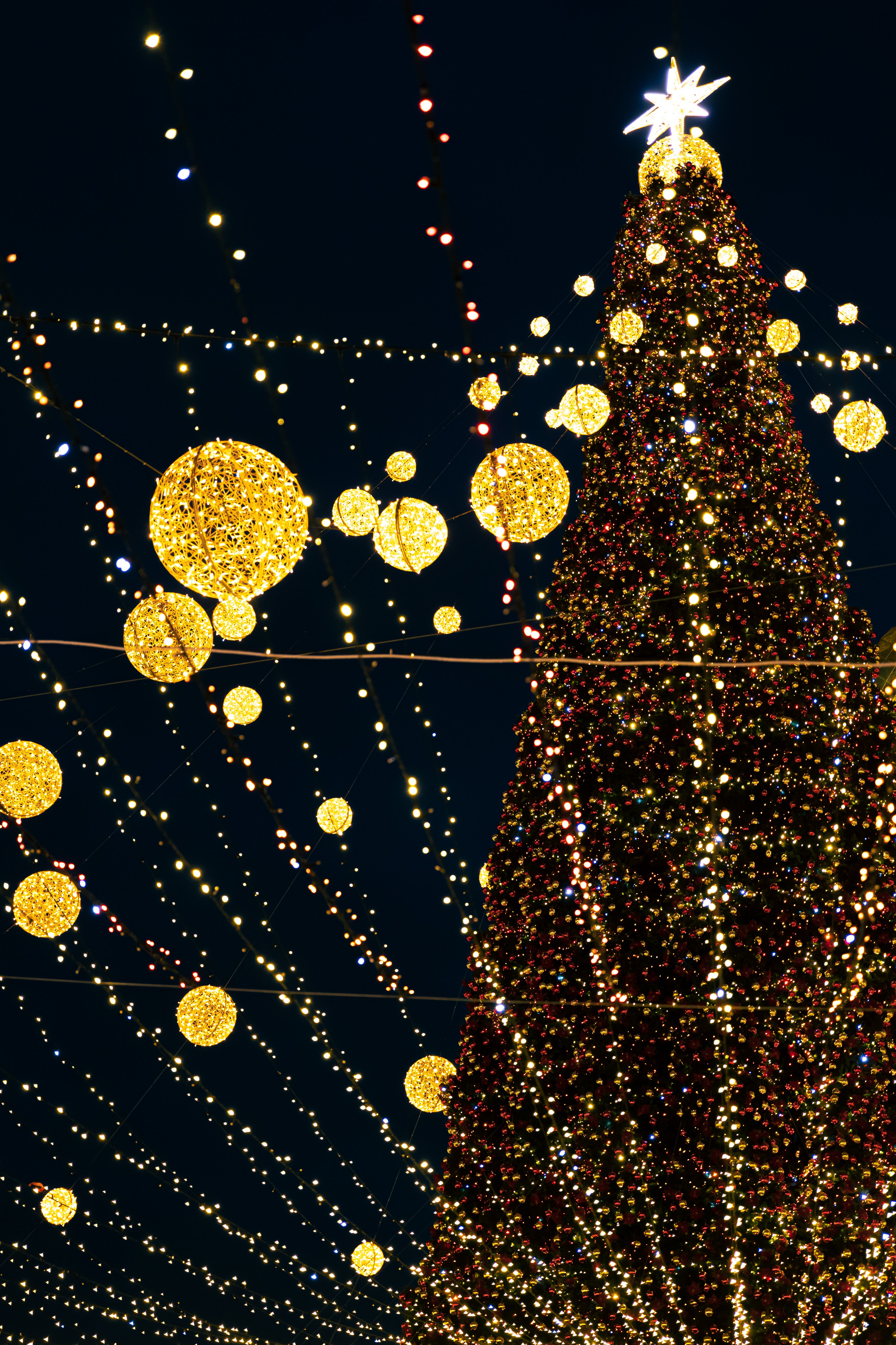 Large city Christmas tree with many lights.